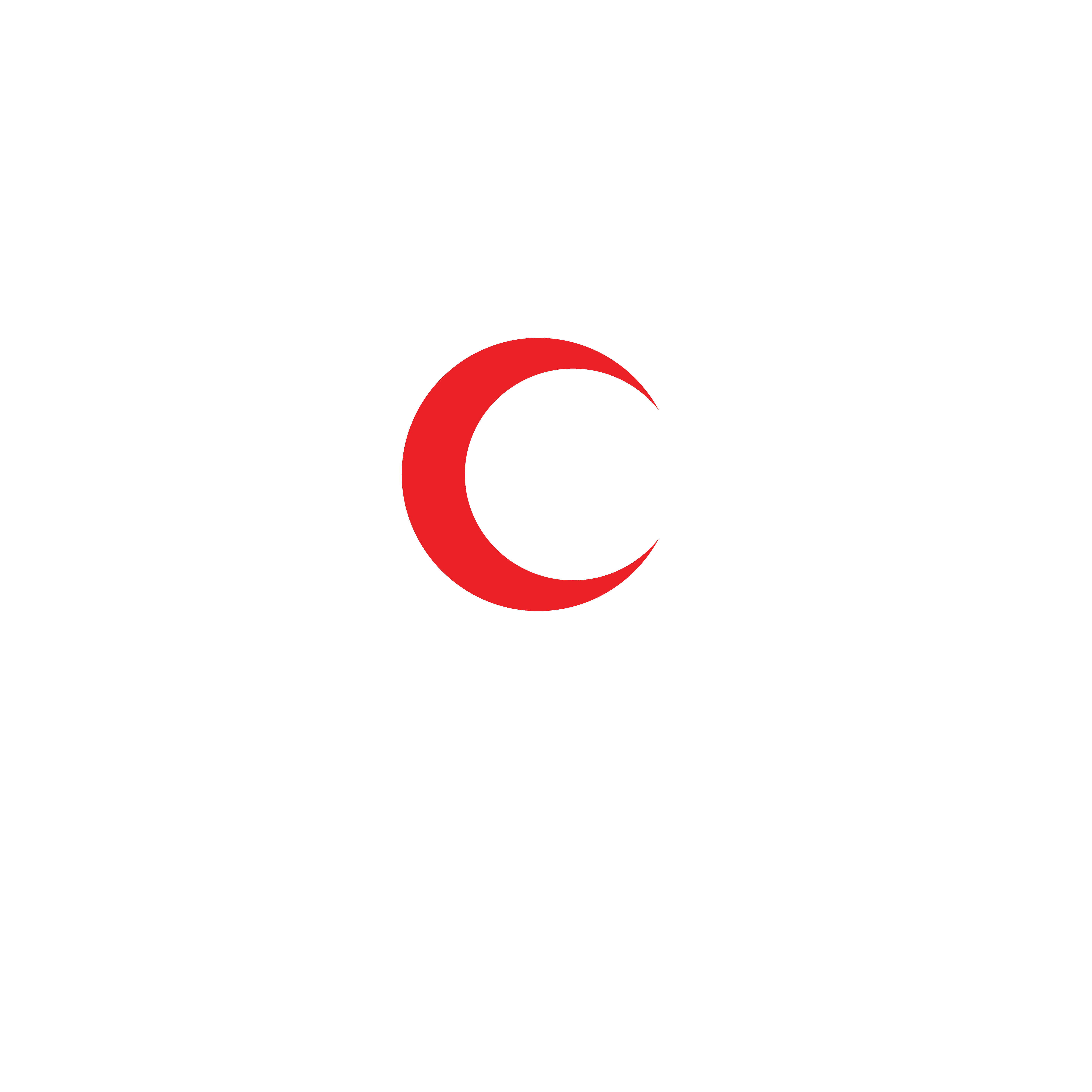 Dar ElAsnan logo