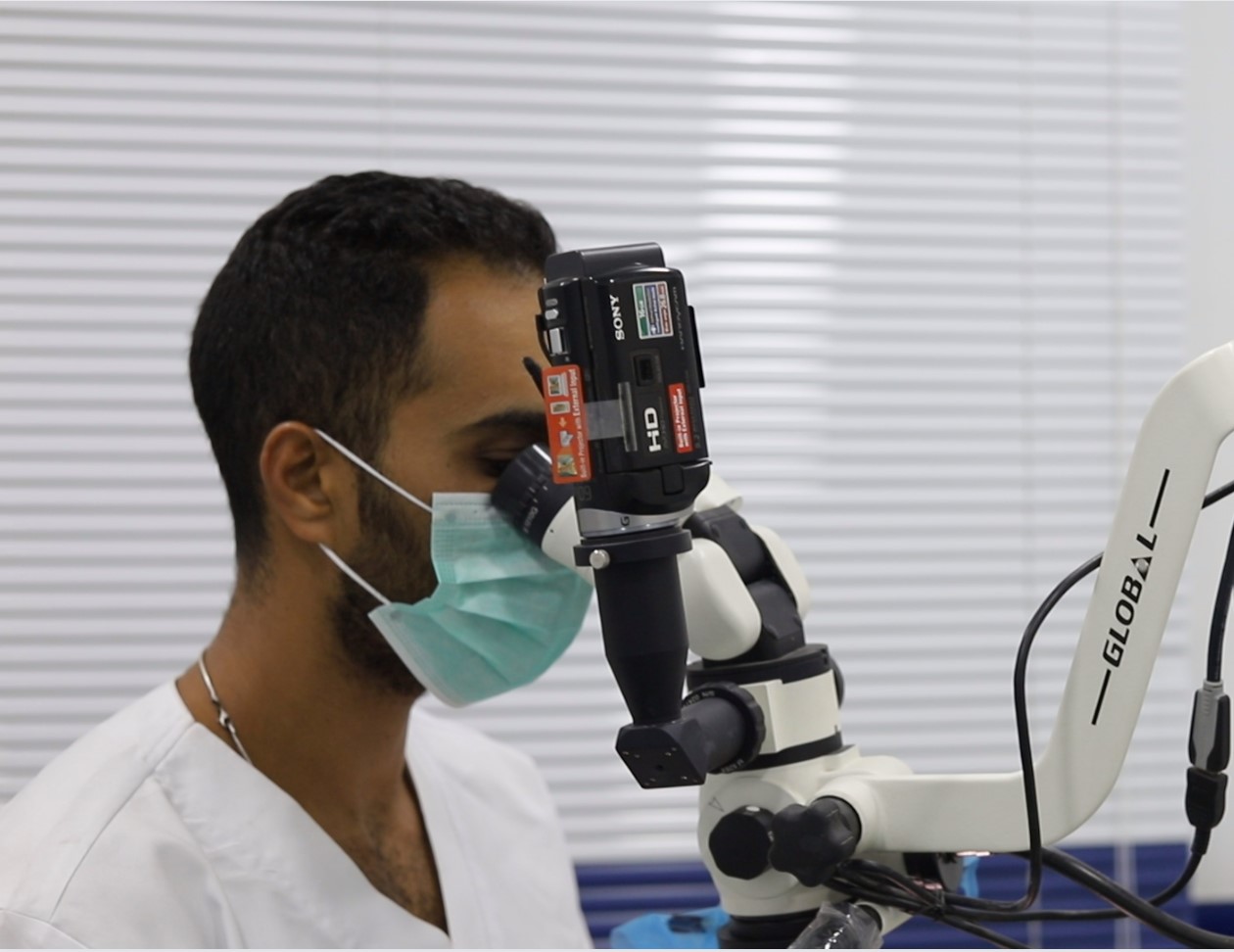 Endodontics Clinic​